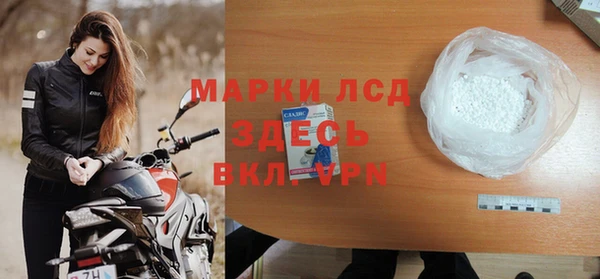 твердый Бородино