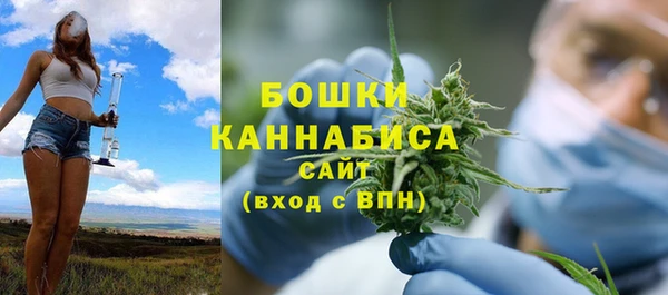 твердый Бородино