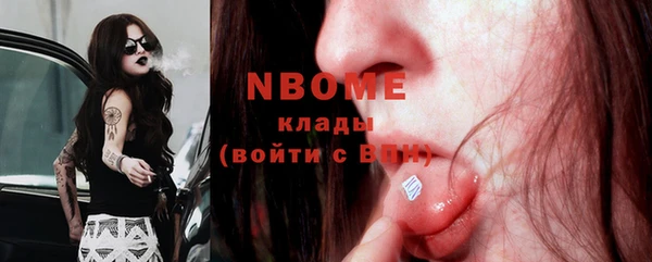 твердый Бородино