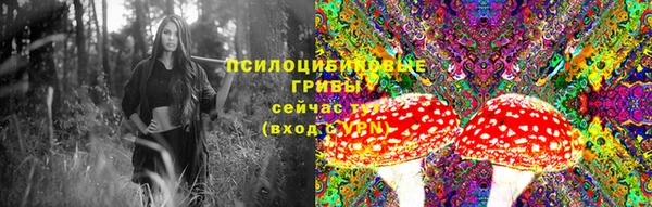 прущий лед Бронницы