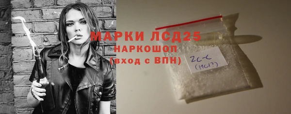 твердый Бородино