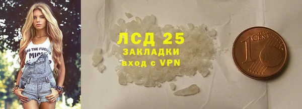твердый Бородино
