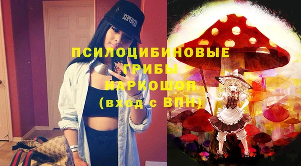 мдпв Бугульма