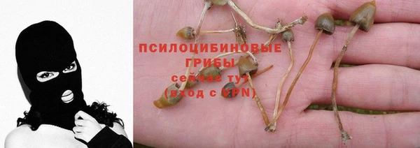 мдпв Бугульма