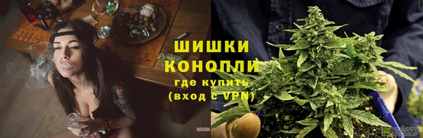 твердый Бородино