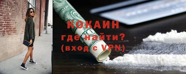 твердый Бородино
