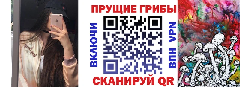 Псилоцибиновые грибы GOLDEN TEACHER  Купить где  Мыски 